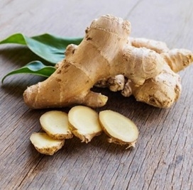 Ingefær rot (Zingiber officinale) – tørket rot | Urter og urteprodukter ...
