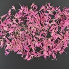 Kornblom - lilla thumbnail