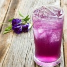 Butterfly pea tea  thumbnail