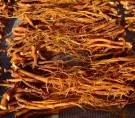 Ginseng rot (rød dampet) thumbnail