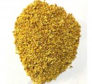 Osmanthus blomster thumbnail