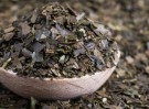 Guayusa – økologisk thumbnail