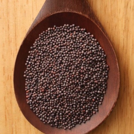 Sennepsfrø brun