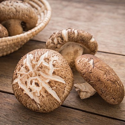 Shiitake–  tørket, oppkuttet