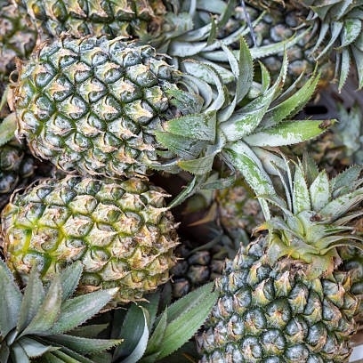 Ananasbiter – naturell, uten rismel